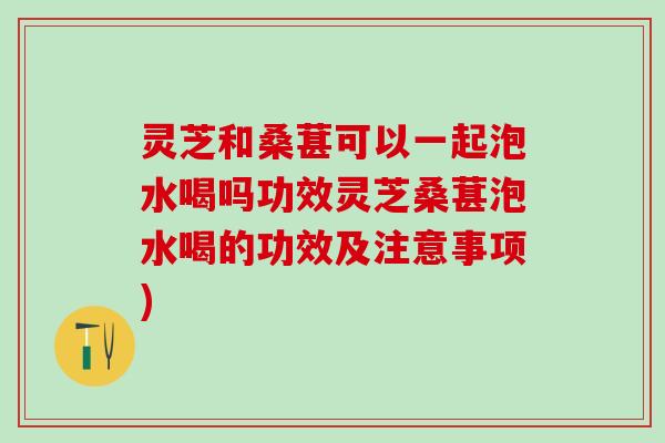 灵芝和桑葚可以一起泡水喝吗功效灵芝桑葚泡水喝的功效及注意事项)