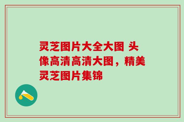 灵芝图片大全大图 头像高清高清大图,精美灵芝图片集锦 灵芝图片大全大图 头像高清高清大图,精美灵芝图片集锦