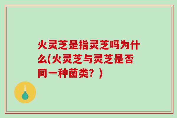 火灵芝是指灵芝吗为什么(火灵芝与灵芝是否同一种菌类？)