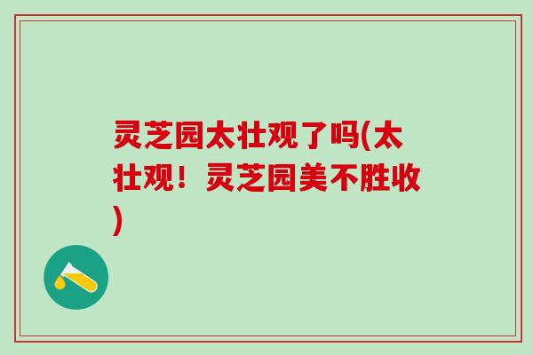 灵芝园太壮观了吗(太壮观！灵芝园美不胜收)