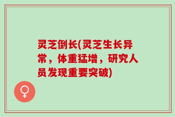 灵芝倒长(灵芝生长异常,体重猛增,研究人员发现重要突破) 灵芝倒长(灵芝生长异常,体重猛增,研究人员发现重要突破)