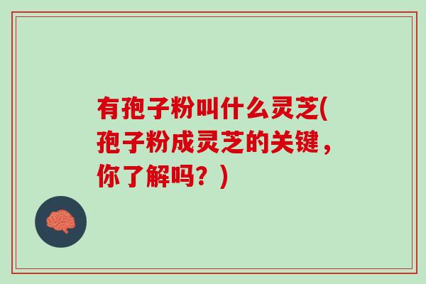 有孢子粉叫什么灵芝(孢子粉成灵芝的关键，你了解吗？)