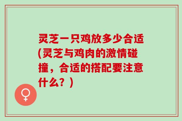 灵芝一只鸡放多少合适(灵芝与鸡肉的激情碰撞，合适的搭配要注意什么？)