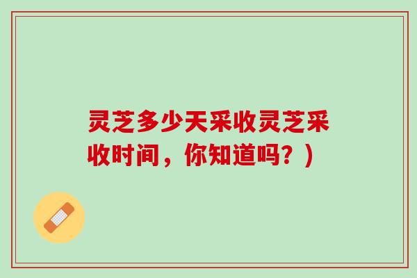 灵芝多少天采收灵芝采收时间，你知道吗？)