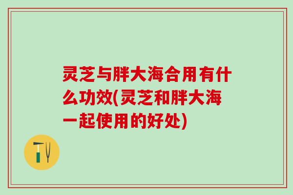灵芝与胖大海合用有什么功效(灵芝和胖大海一起使用的好处)