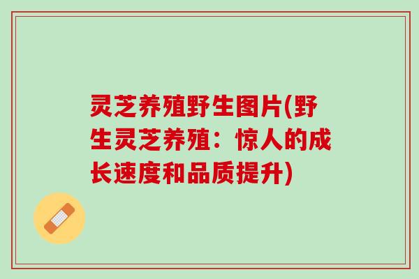灵芝养殖野生图片(野生灵芝养殖：惊人的成长速度和品质提升)