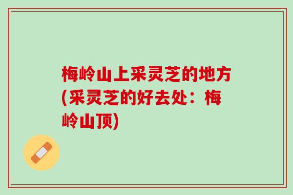 梅岭山上采灵芝的地方(采灵芝的好去处：梅岭山顶)
