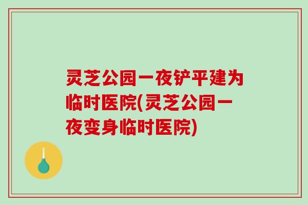 灵芝公园一夜铲平建为临时医院(灵芝公园一夜变身临时医院)