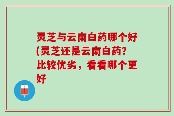 灵芝与云南白药哪个好(灵芝还是云南白药？比较优劣，看看哪个更好