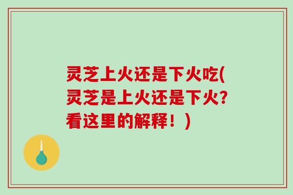 灵芝上火还是下火吃(灵芝是上火还是下火？看这里的解释！)