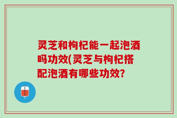 灵芝和枸杞能一起泡酒吗功效(灵芝与枸杞搭配泡酒有哪些功效? 灵芝和枸杞能一起泡酒吗功效(灵芝与枸杞搭配泡酒有哪些功效?