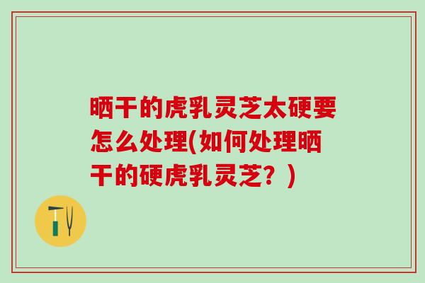 晒干的虎乳灵芝太硬要怎么处理(如何处理晒干的硬虎乳灵芝？)