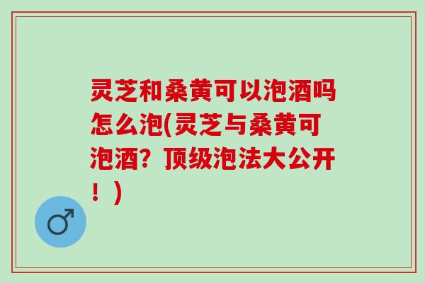 灵芝和桑黄可以泡酒吗怎么泡(灵芝与桑黄可泡酒？顶级泡法大公开！)