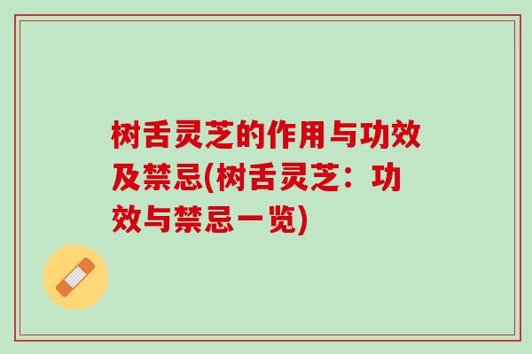 树舌灵芝的作用与功效及禁忌(树舌灵芝：功效与禁忌一览)