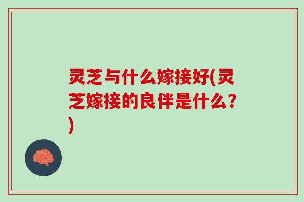 灵芝与什么嫁接好(灵芝嫁接的良伴是什么？)