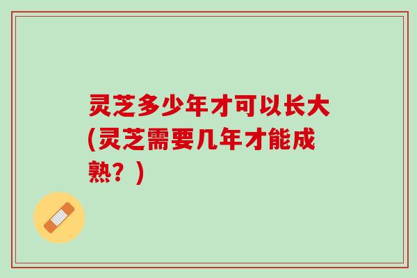 灵芝多少年才可以长大(灵芝需要几年才能成熟？)