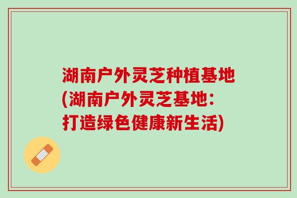 湖南户外灵芝种植基地(湖南户外灵芝基地：打造绿色健康新生活)