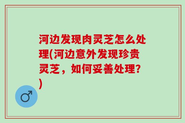 河边发现肉灵芝怎么处理(河边意外发现珍贵灵芝，如何妥善处理？)