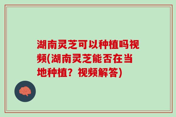 湖南灵芝可以种植吗视频(湖南灵芝能否在当地种植？视频解答)