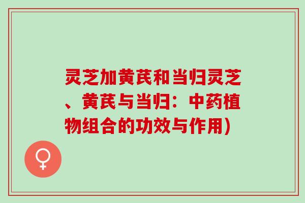 灵芝加黄芪和当归灵芝、黄芪与当归：中药植物组合的功效与作用)