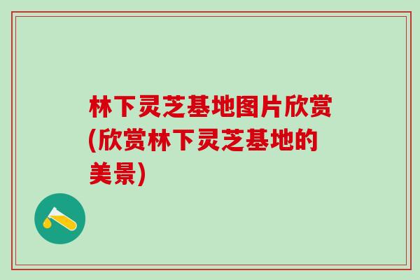 林下灵芝基地图片欣赏(欣赏林下灵芝基地的美景)