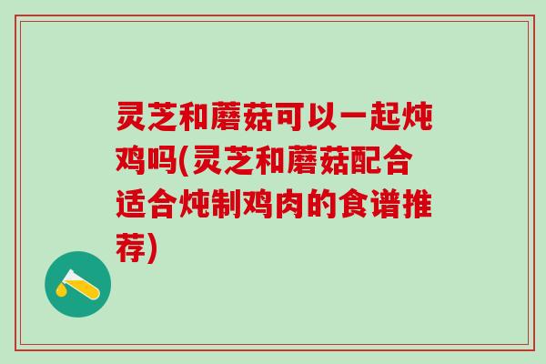 灵芝和蘑菇可以一起炖鸡吗(灵芝和蘑菇配合适合炖制鸡肉的食谱推荐)