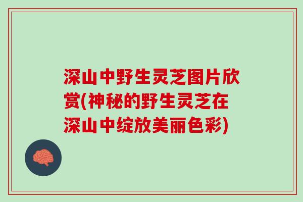 深山中野生灵芝图片欣赏(神秘的野生灵芝在深山中绽放美丽色彩)
