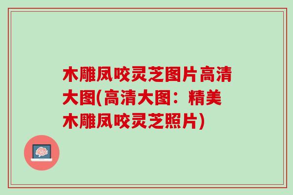 木雕凤咬灵芝图片高清大图(高清大图：精美木雕凤咬灵芝照片)