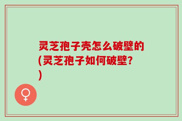灵芝孢子壳怎么破壁的(灵芝孢子如何破壁？)