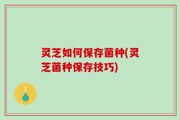 灵芝如何保存菌种(灵芝菌种保存技巧)