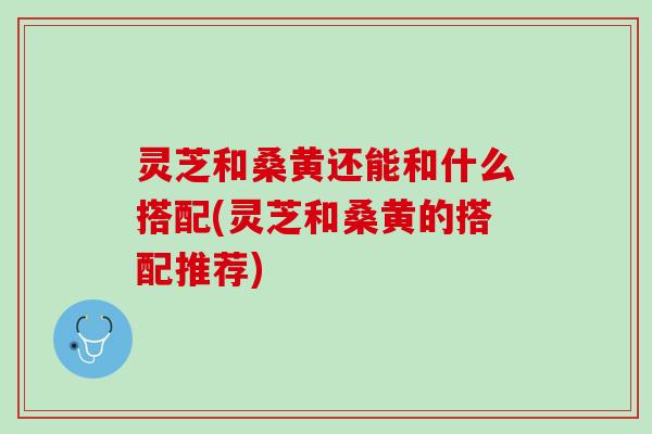灵芝和桑黄还能和什么搭配(灵芝和桑黄的搭配推荐)