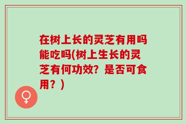 在树上长的灵芝有用吗能吃吗(树上生长的灵芝有何功效？是否可食用？)