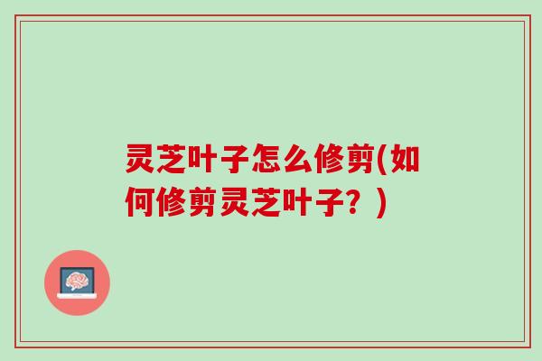 灵芝叶子怎么修剪(如何修剪灵芝叶子？)