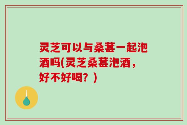 灵芝可以与桑葚一起泡酒吗(灵芝桑葚泡酒，好不好喝？)