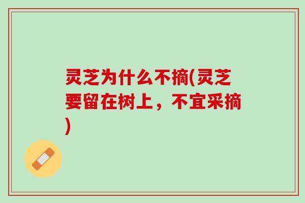 灵芝为什么不摘(灵芝要留在树上，不宜采摘)