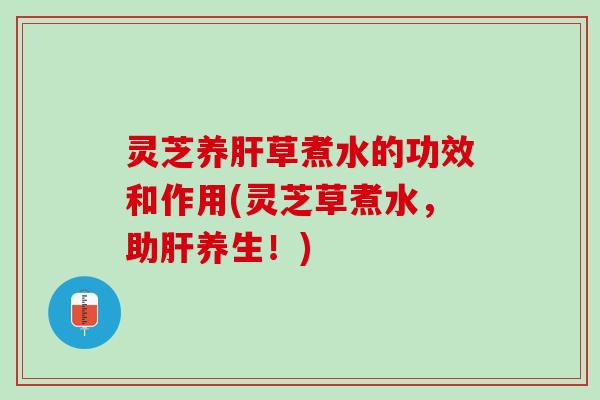 灵芝养草煮水的功效和作用(灵芝草煮水，助养生！)