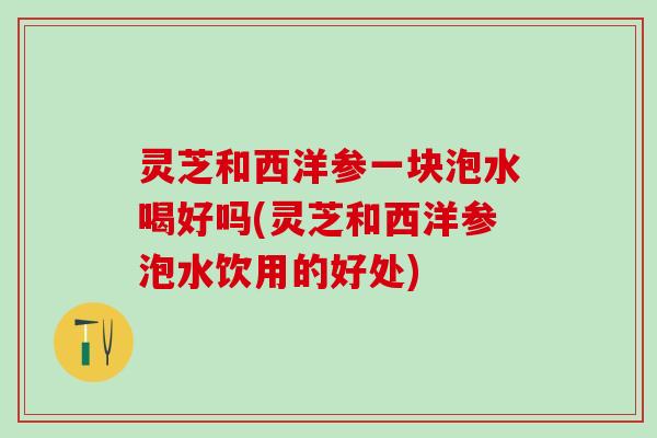灵芝和西洋参一块泡水喝好吗(灵芝和西洋参泡水饮用的好处)