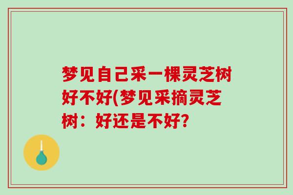 梦见自己采一棵灵芝树好不好(梦见采摘灵芝树：好还是不好？