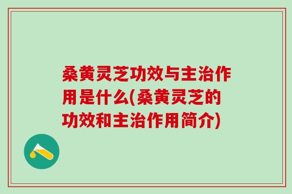 桑黄灵芝功效与主作用是什么(桑黄灵芝的功效和主作用简介) 桑黄灵芝功效与主作用是什么(桑黄灵芝的功效和主作用简介)