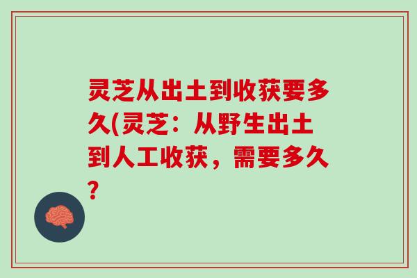 灵芝从出土到收获要多久(灵芝：从野生出土到人工收获，需要多久？