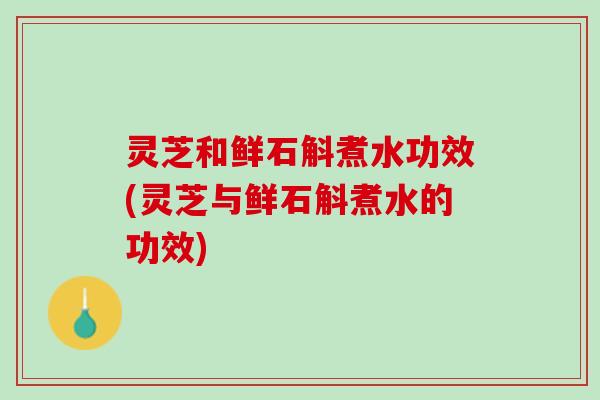灵芝和鲜石斛煮水功效(灵芝与鲜石斛煮水的功效)