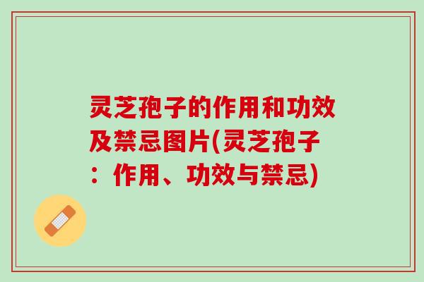 灵芝孢子的作用和功效及禁忌图片(灵芝孢子：作用、功效与禁忌)