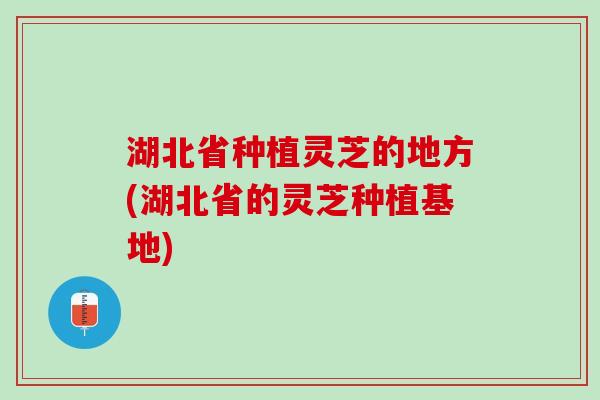 湖北省种植灵芝的地方(湖北省的灵芝种植基地)