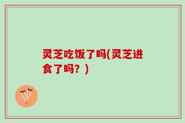 灵芝吃饭了吗(灵芝进食了吗?) 灵芝吃饭了吗(灵芝进食了吗?)