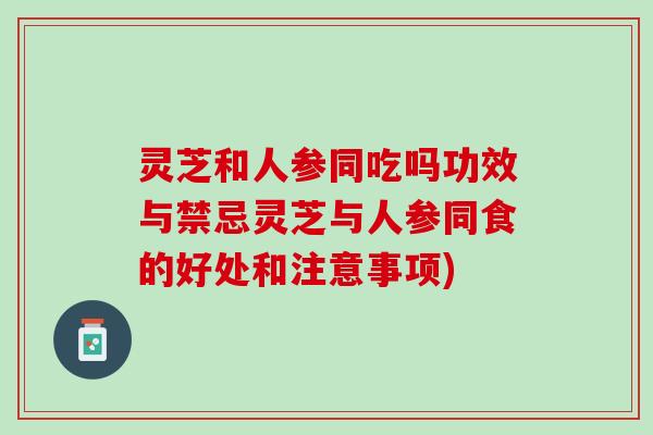 灵芝和人参同吃吗功效与禁忌灵芝与人参同食的好处和注意事项) 灵芝和人参同吃吗功效与禁忌灵芝与人参同食的好处和注意事项)