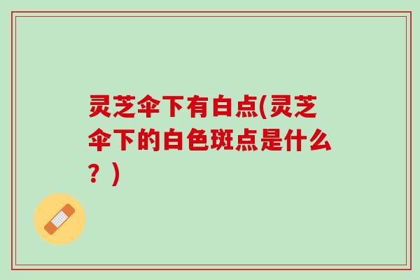 灵芝伞下有白点(灵芝伞下的白色斑点是什么？)