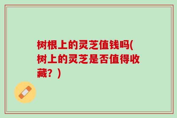 树根上的灵芝值钱吗(树上的灵芝是否值得收藏？)