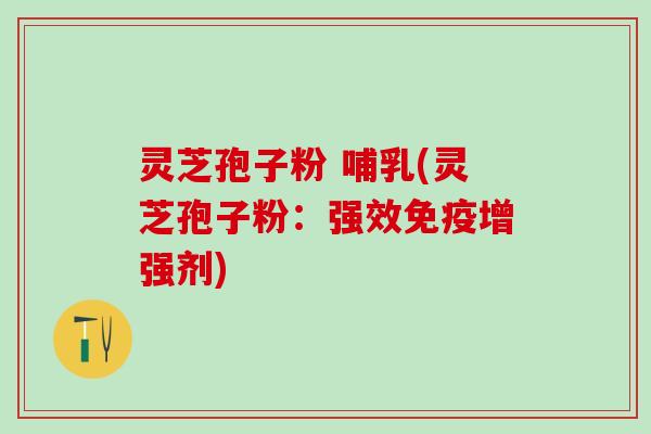 灵芝孢子粉 哺乳(灵芝孢子粉：强效免疫增强剂)