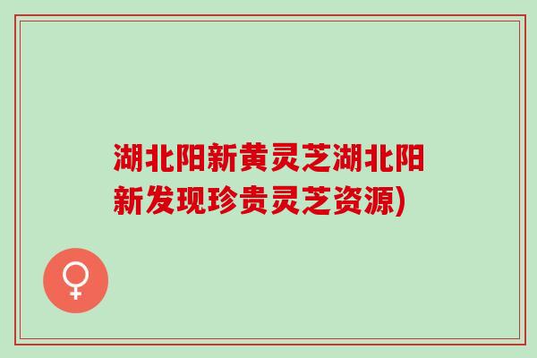 湖北阳新黄灵芝湖北阳新发现珍贵灵芝资源)