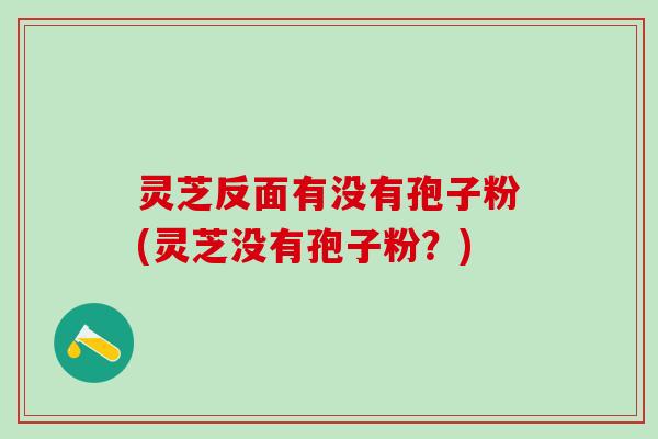 灵芝反面有没有孢子粉(灵芝没有孢子粉？)